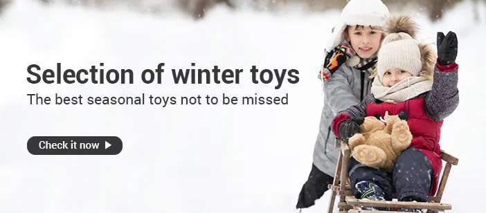 Selection of winter toys